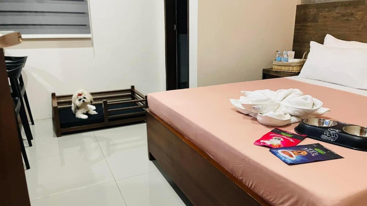 A&E Apartelle バコロ エクステリア 写真