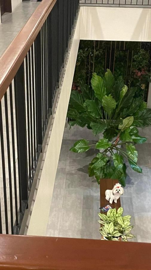 A&E Apartelle バコロ エクステリア 写真